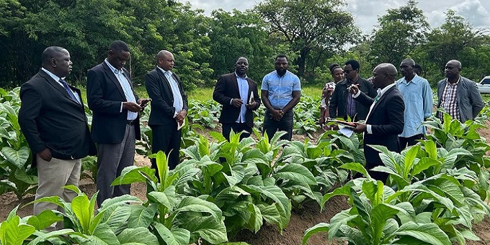 TORITA Board Members visiting trial sites and seed farms at Tumbi,Tabora